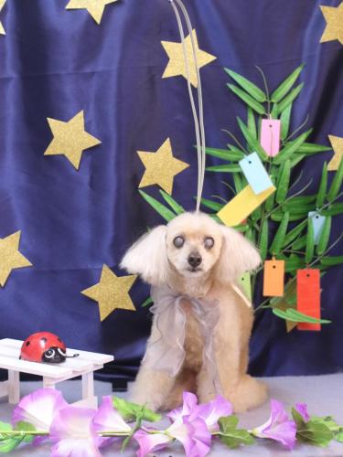 20230709桃果ちゃん